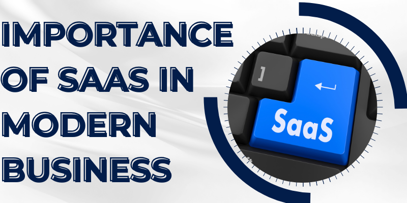 Importance Of Saas In Modern Business Software As A Service (Saas)