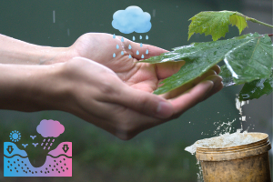 AI Rainwater Systems That Save Water Automatically: The Future of Smart Water Conservation