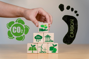 Carbon-Capturing Gadgets for Homes: The Future of Clean, Smart Living